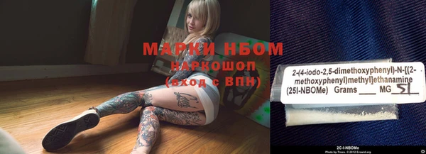 индика Туринск