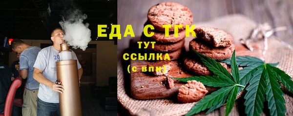индика Туринск