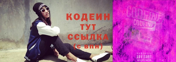 индика Туринск