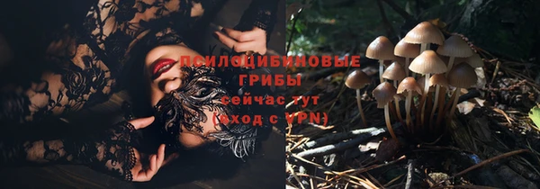 стафф Тутаев