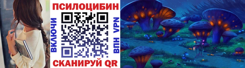 Купить где  Тбилисская  Галлюциногенные грибы мухоморы 